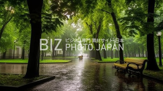 雨の日の公園