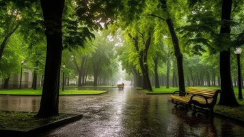 雨の日の公園
